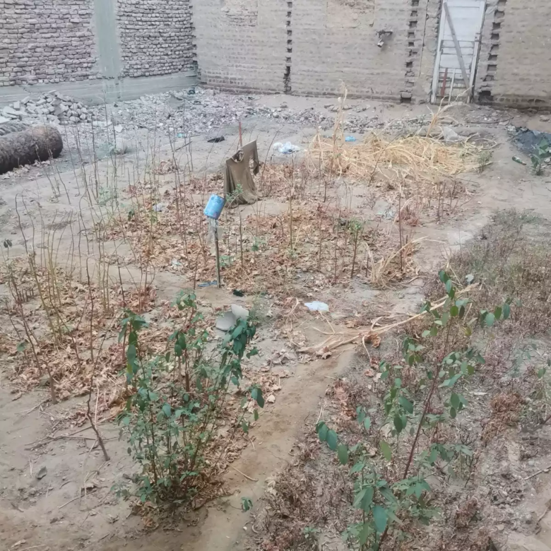 ارض للبيع ١٥٧م من المالك مباشرة